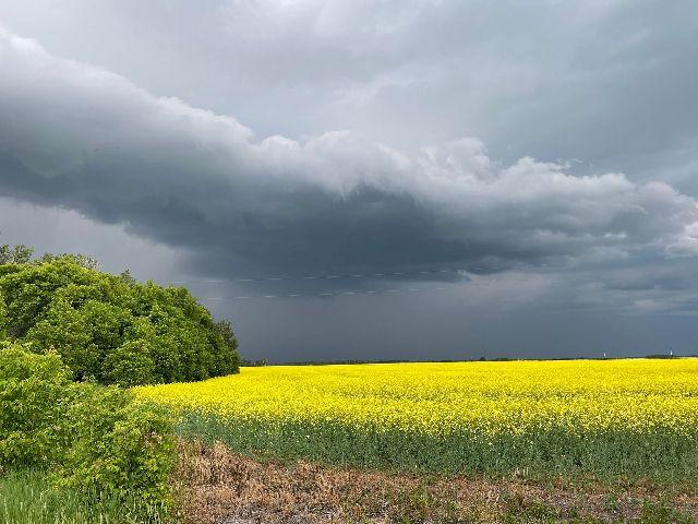 Lightning, Rain, Hail & More Last Night - Vimarsana News