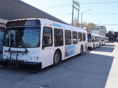 Youth Bus Fares Dropped