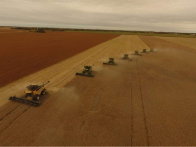 Progress made in harvest